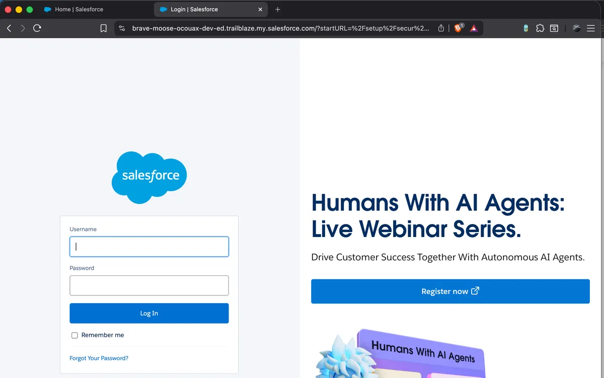 Salesforce login screen opened by the CLI