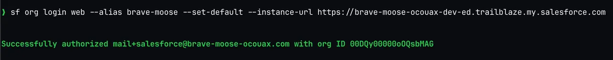 Terminal showing the successful authorization message